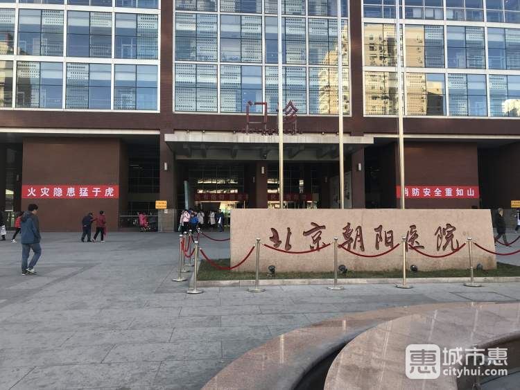 首都醫(yī)科大學(xué)附屬北京朝陽(yáng)醫(yī)院